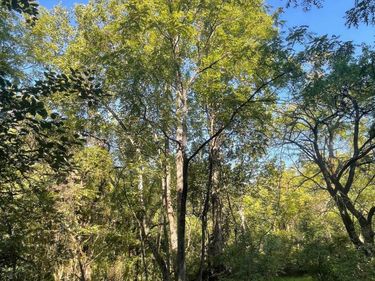 TBD STONY POINT PASS, Keswick, VA 22947