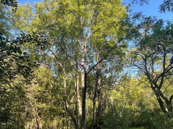 TBD STONY POINT PASS, Keswick, VA 22947