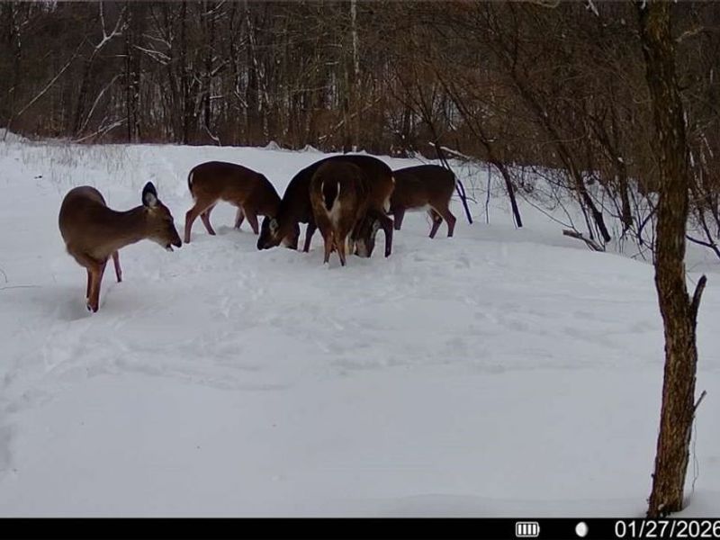 0 Prider Road, Kimbolton, OH 43749 Photo 10