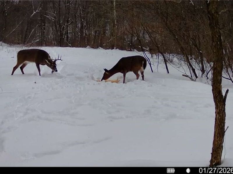 0 Prider Road, Kimbolton, OH 43749 Photo 11