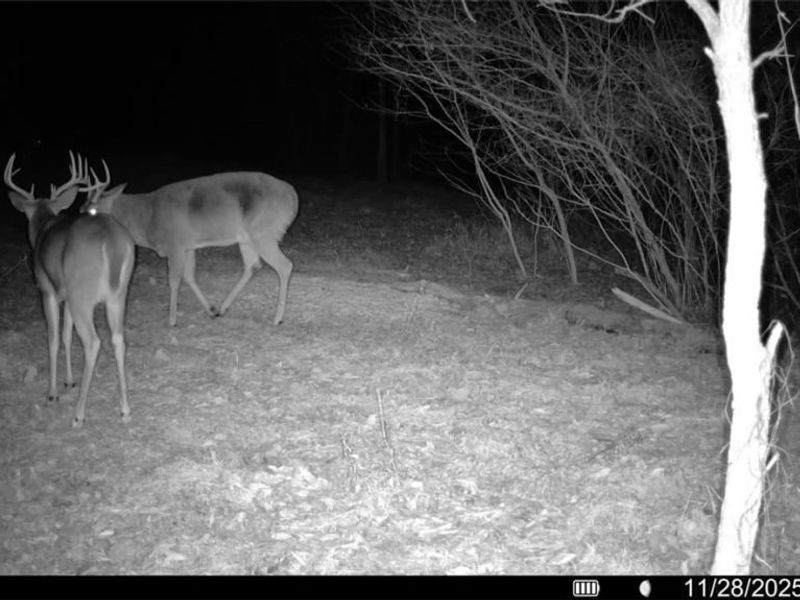 0 Prider Road, Kimbolton, OH 43749 Photo 12