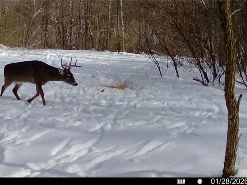 0 Prider Road, Kimbolton, OH 43749 Photo 13