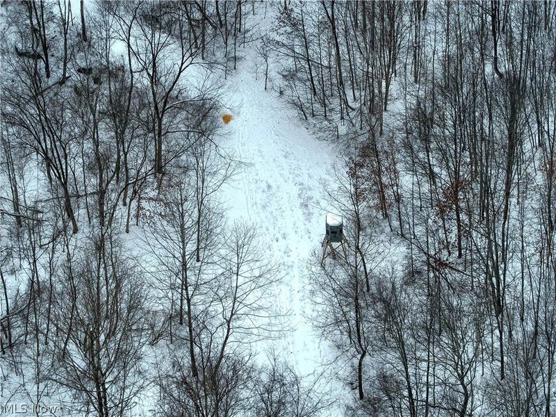 0 Prider Road, Kimbolton, OH 43749 Photo 2