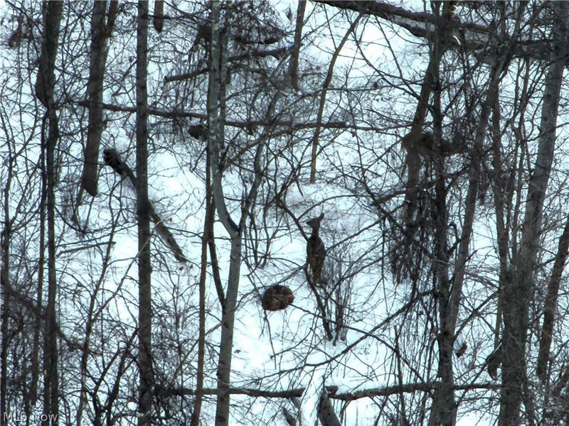 0 Prider Road, Kimbolton, OH 43749 Photo 21