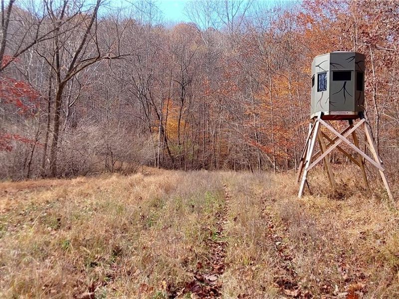 0 Prider Road, Kimbolton, OH 43749 Photo 5