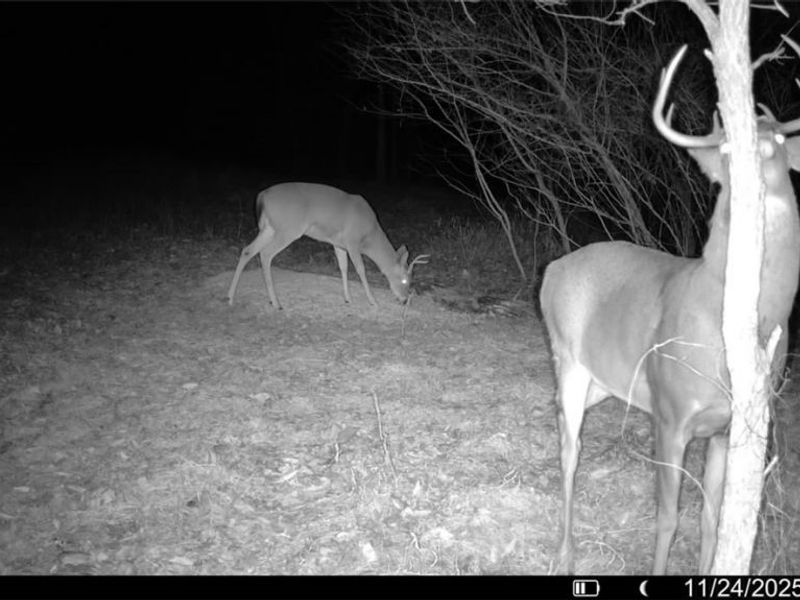 0 Prider Road, Kimbolton, OH 43749 Photo 6