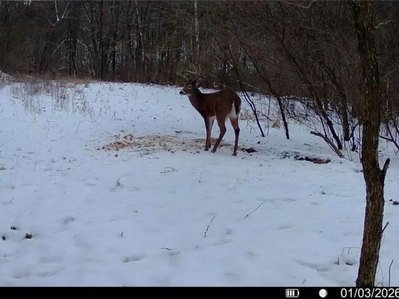 0 Prider Road, Kimbolton, OH 43749 Photo 8