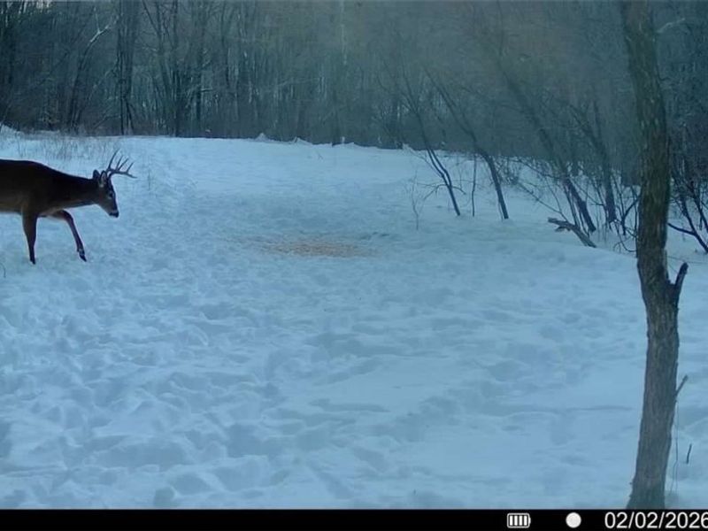 0 Prider Road, Kimbolton, OH 43749 Photo 9