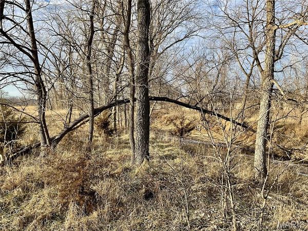 0 Buck Creek Road, Greentop, MO 63546