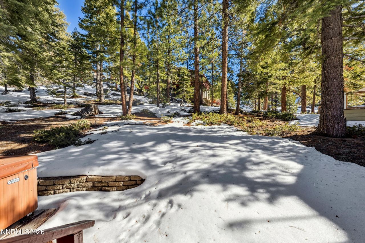 219 S Benjamin Drive, Unit B, Stateline, NV 89449 Photo