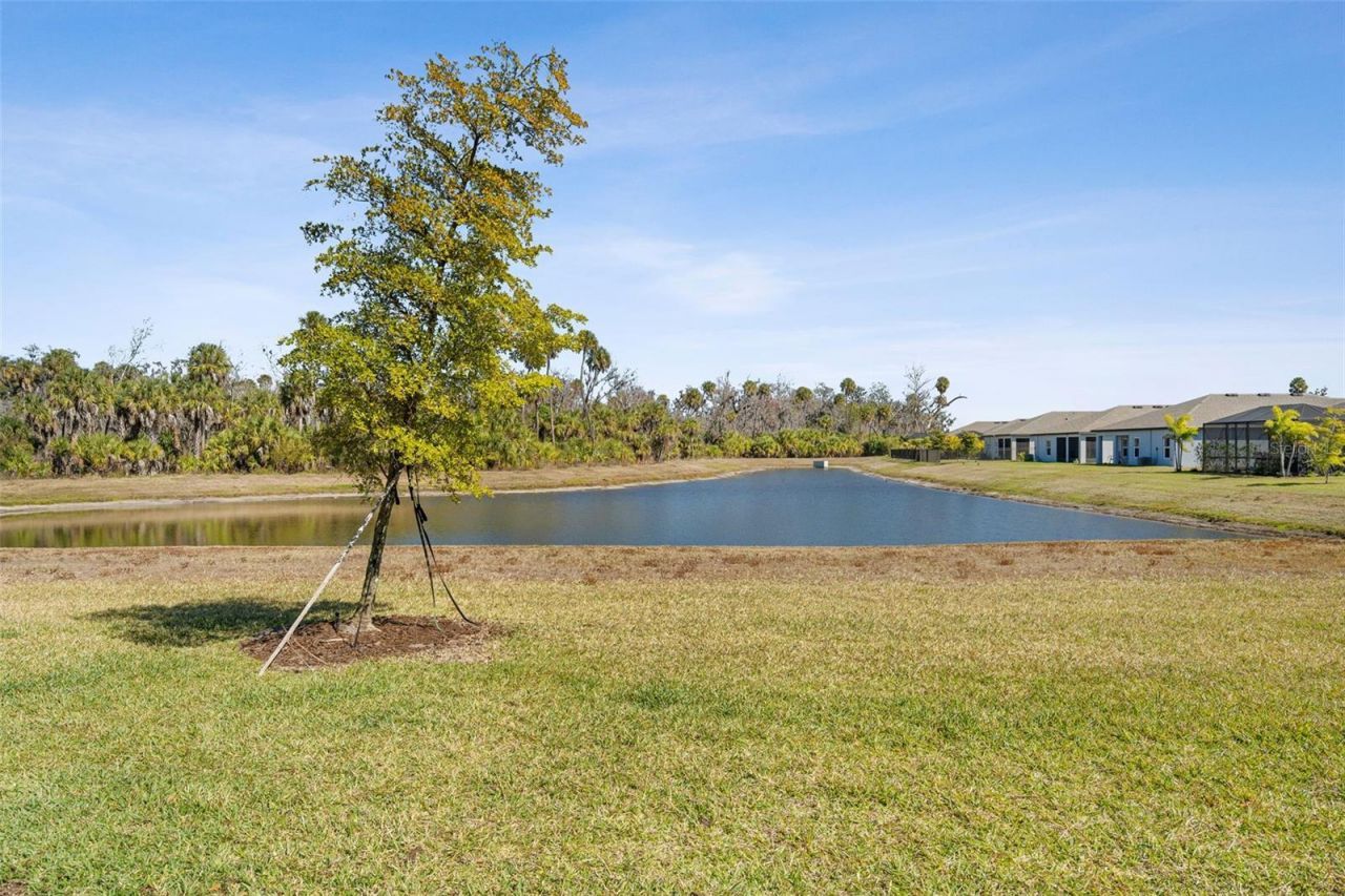 5438 Tripoli Drive, Palmetto, FL 34221 Photo