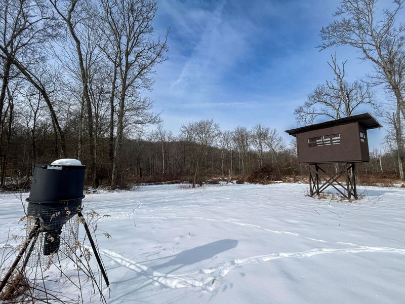 18408 Brushy Fork Road SE, Heath, OH 43056 Photo 10