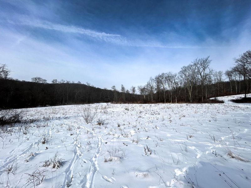 18408 Brushy Fork Road SE, Heath, OH 43056 Photo 14