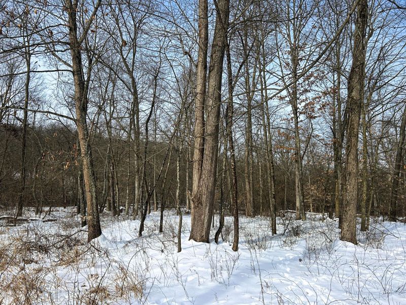 18408 Brushy Fork Road SE, Heath, OH 43056 Photo 25