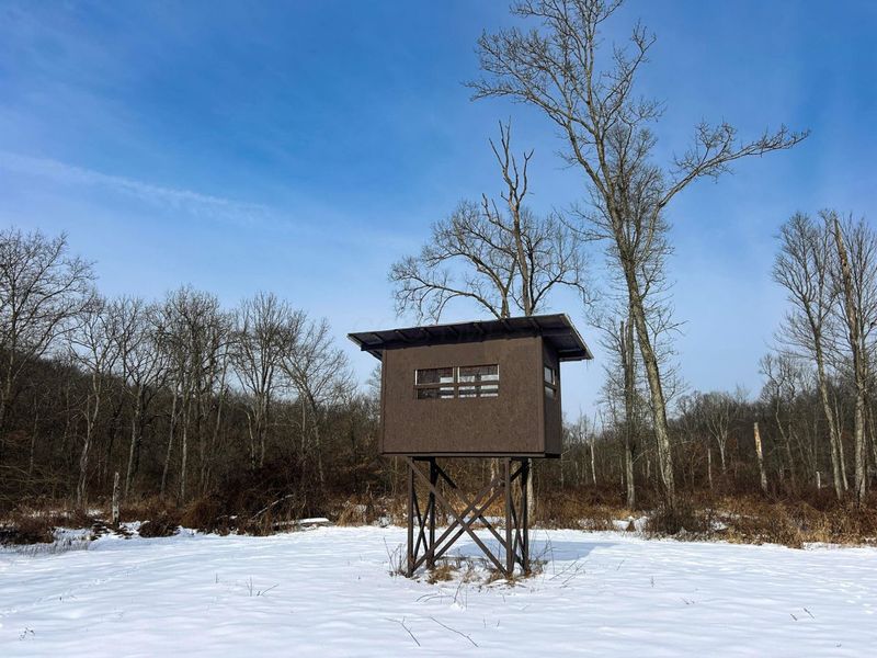 18408 Brushy Fork Road SE, Heath, OH 43056 Photo 9