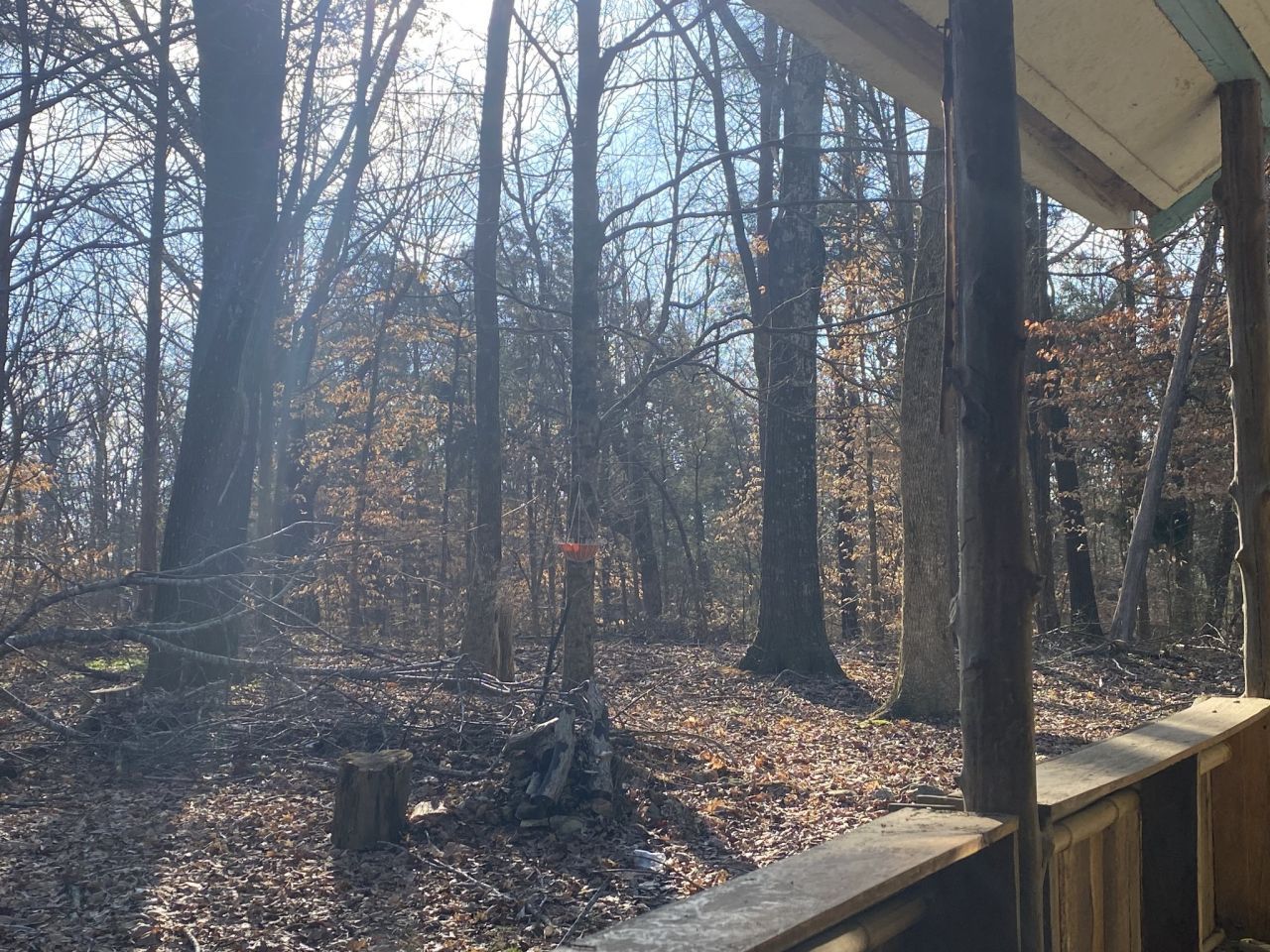 7992 Primm Springs Rd Primm Springs, TN 38476