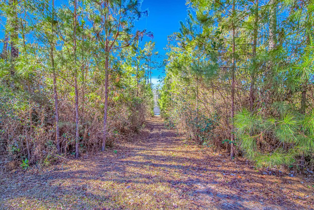 81 Silver Pond Ln Photo 34