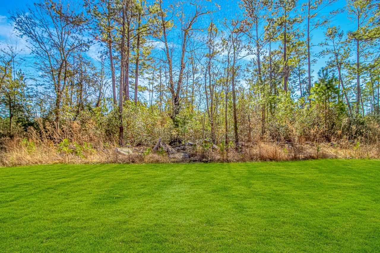 81 Silver Pond Ln Photo 35