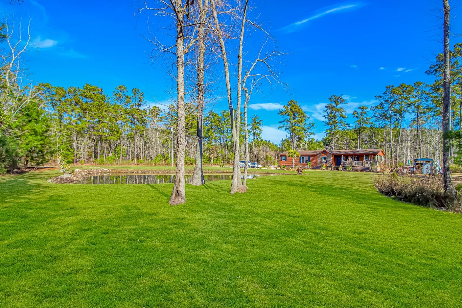81 Silver Pond Ln Photo 4