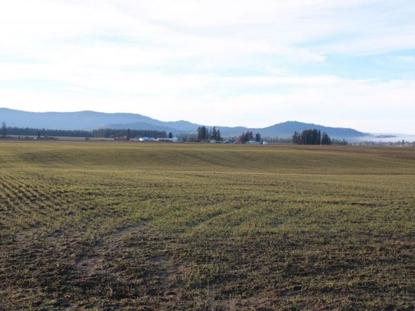 3450X N Spotted Rd, Deer Park, WA 99006