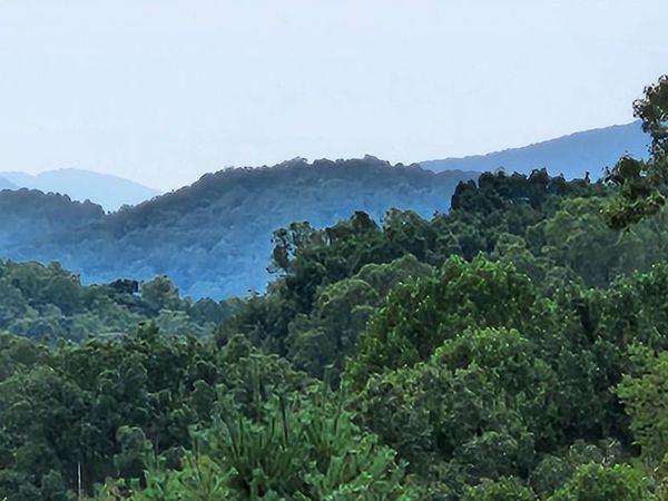 13384 Hardy RD, Hardy, VA 24101