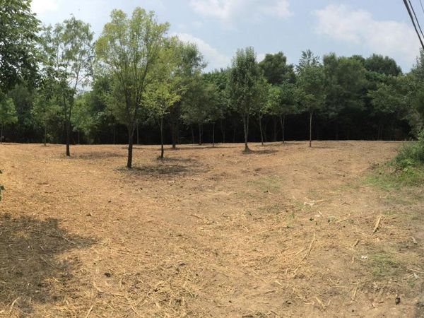 10732 Yarnell Rd, Knoxville, TN 37932