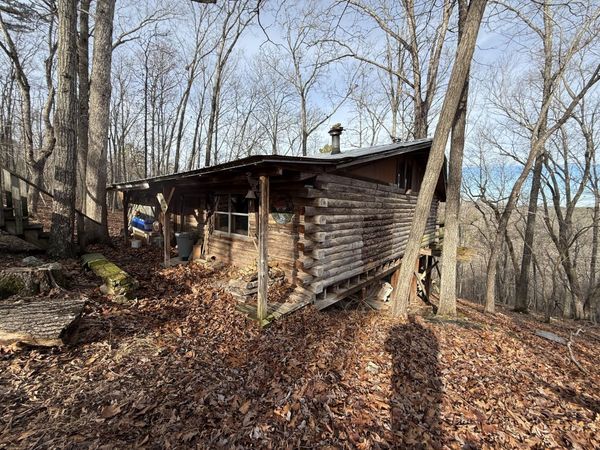 Birch Tree, MO 65438