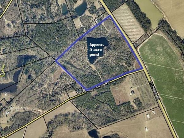 0 Lynntown Road (Lot 1), Collins, GA 30421