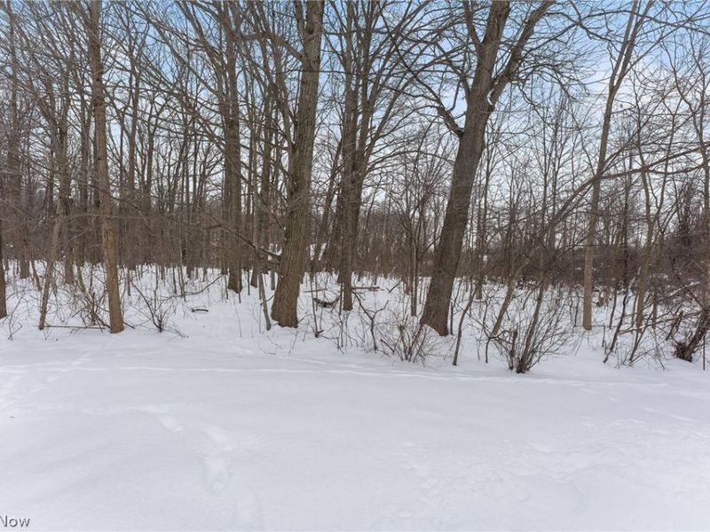 7034 Rushmore Way, Concord, OH 44077 Photo 36