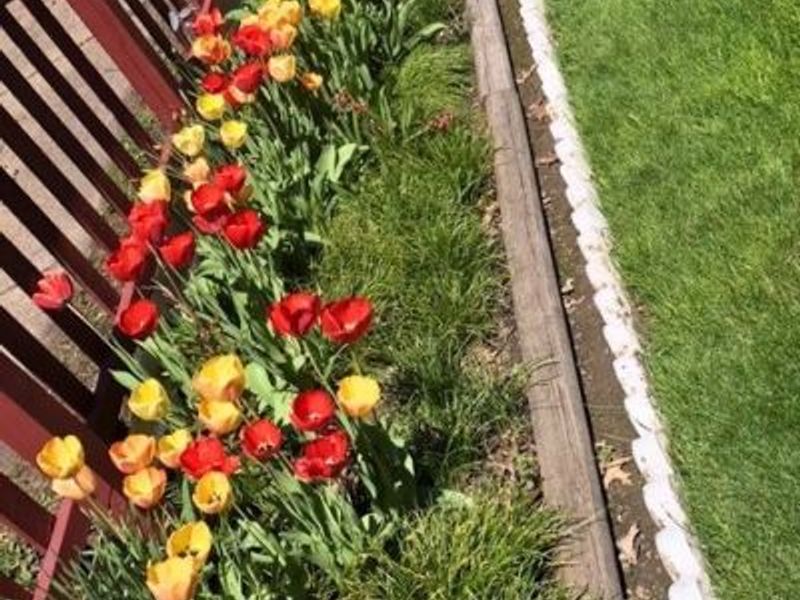 7005 Park Avenue, Cleveland, OH 44105 Photo 23