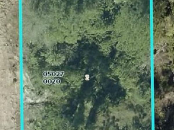 1107 Artic ST E, LEHIGH ACRES, FL 33974
