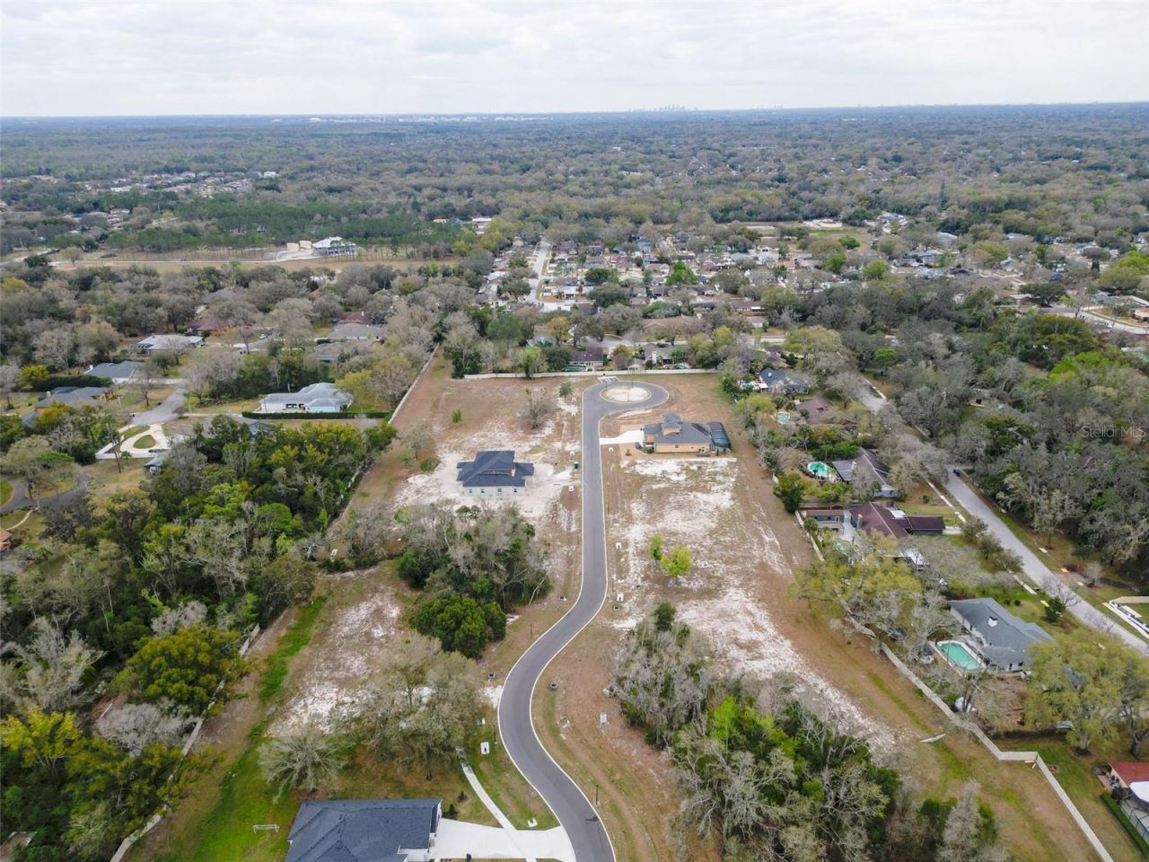 18460 Purple Creek Lane, Lutz, FL 33549 Photo