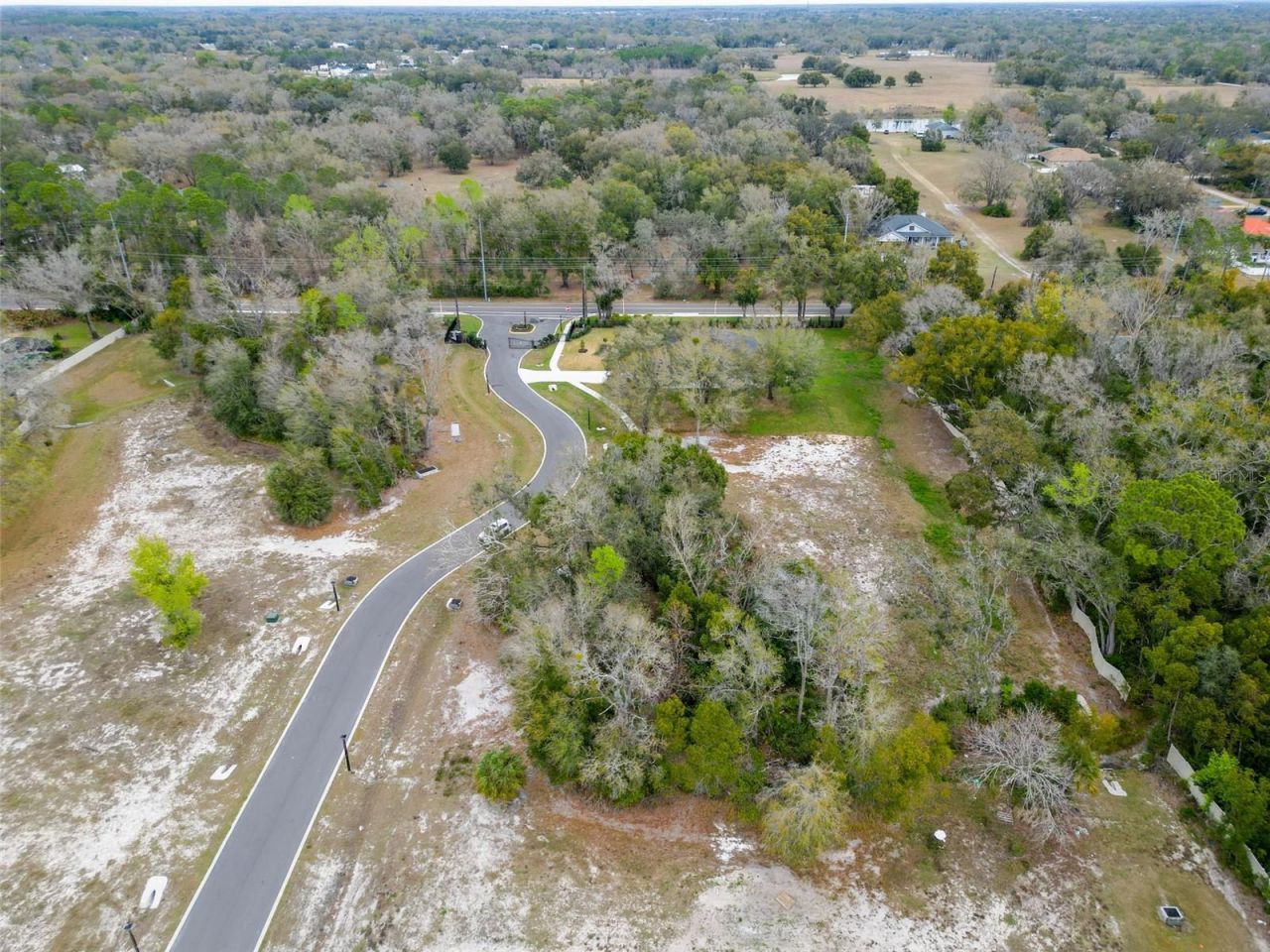 18460 Purple Creek Lane, Lutz, FL 33549 Photo