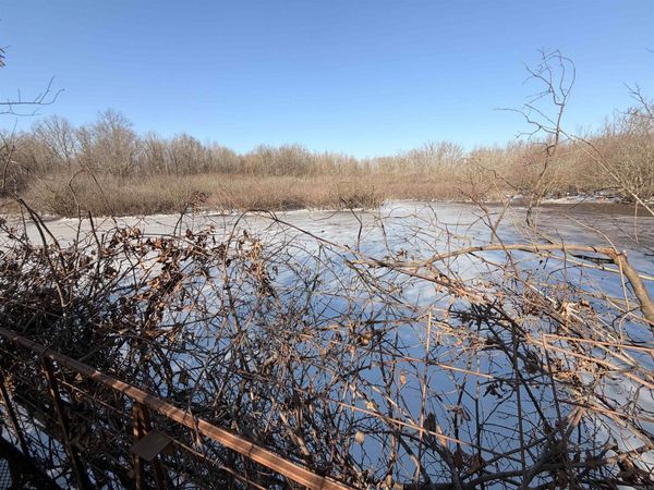 Griffithville, AR 72060