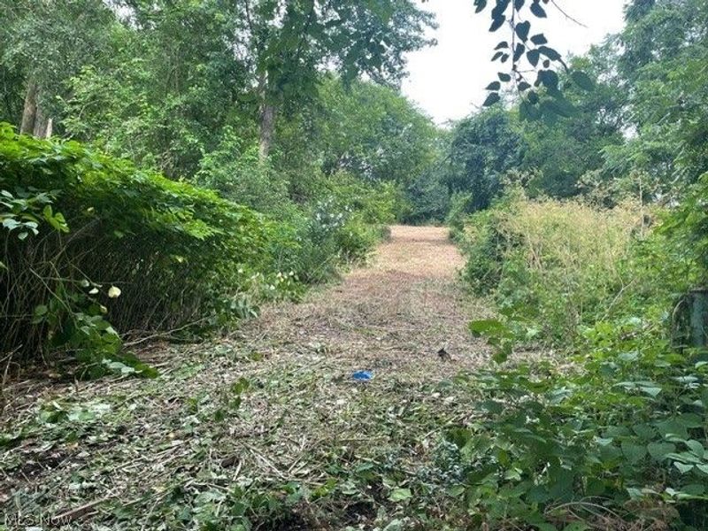 Brant Avenue NW, Canton, OH 44708 Photo 10