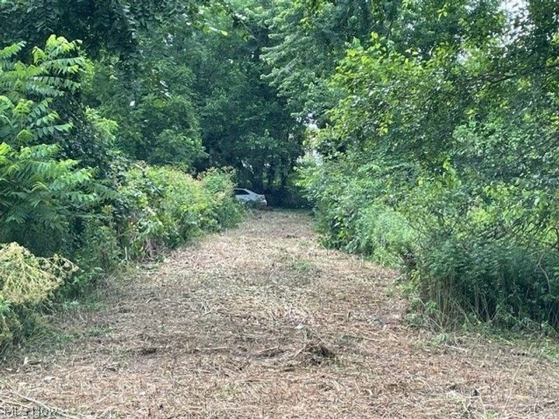 Brant Avenue NW, Canton, OH 44708 Photo 2