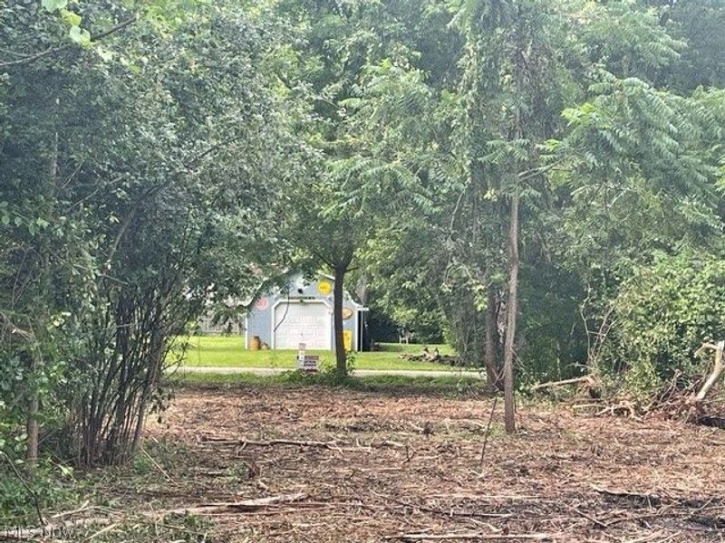 Brant Avenue NW, Canton, OH 44708 Photo 3