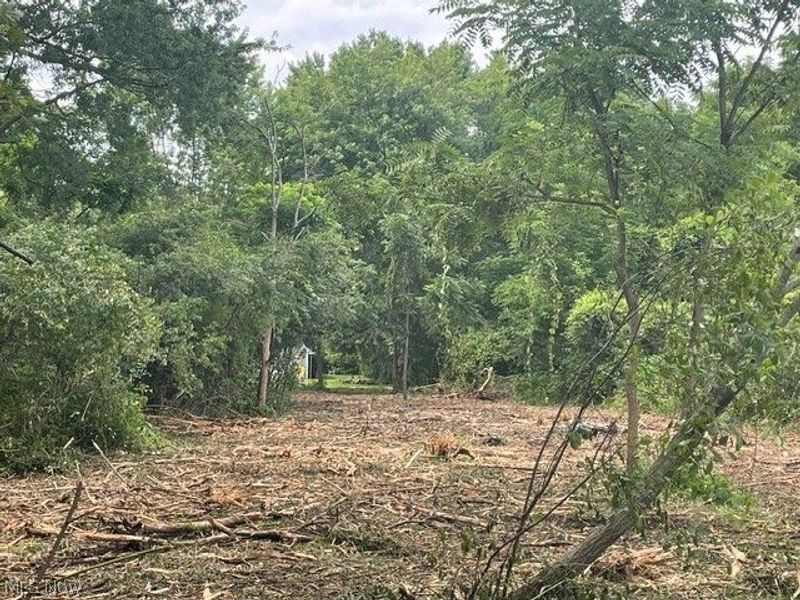 Brant Avenue NW, Canton, OH 44708 Photo 4