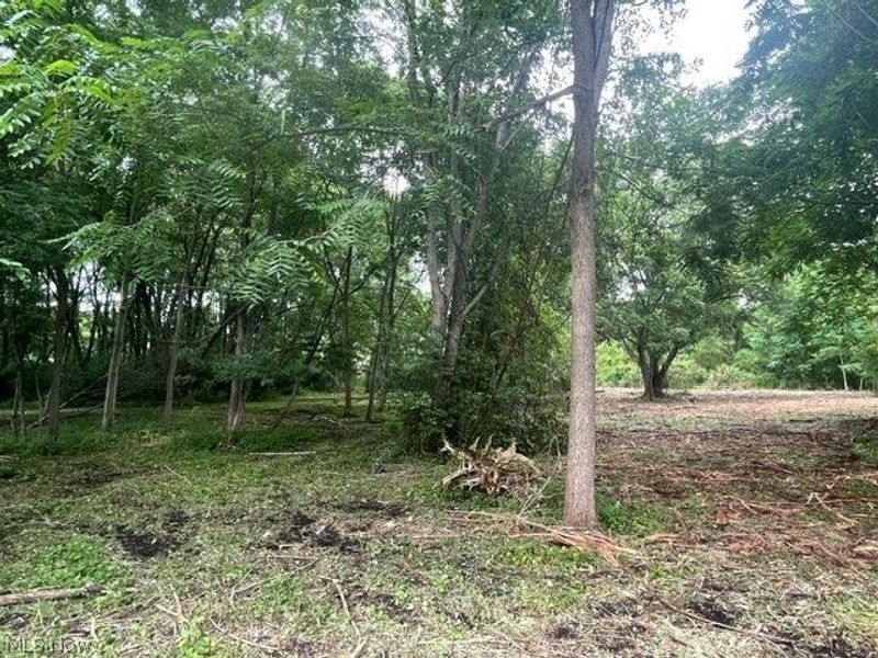 Brant Avenue NW, Canton, OH 44708 Photo 5