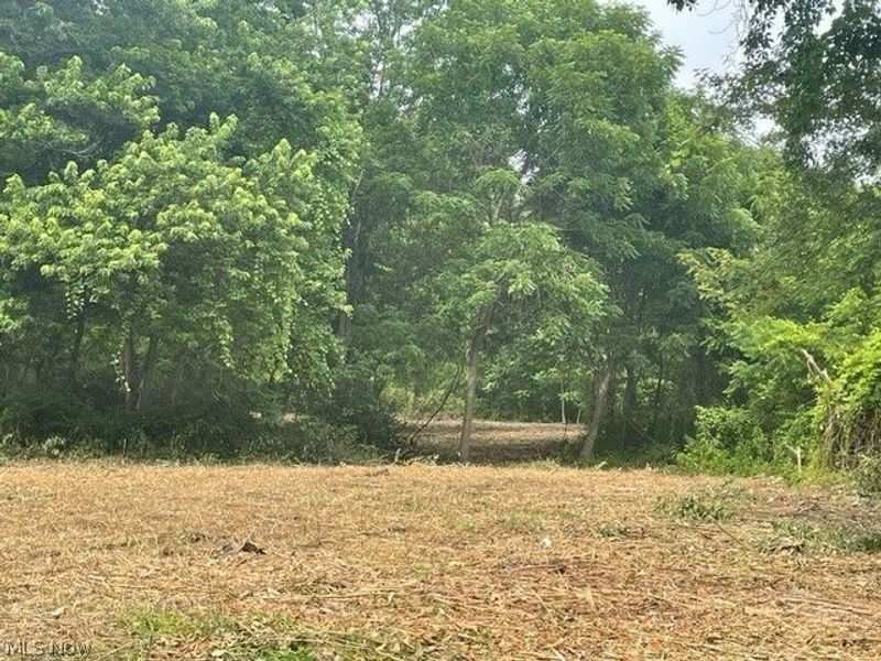 Brant Avenue NW, Canton, OH 44708 Photo 7