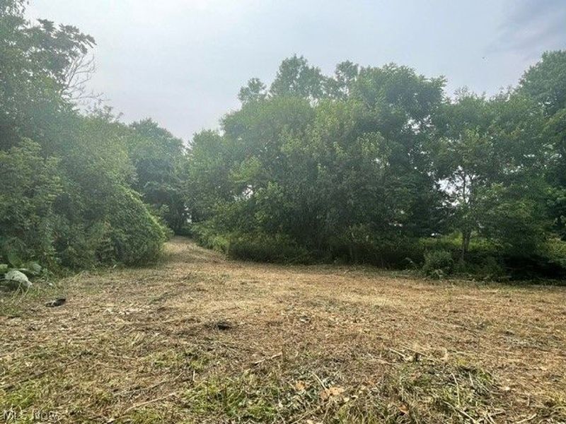 Brant Avenue NW, Canton, OH 44708 Photo 8