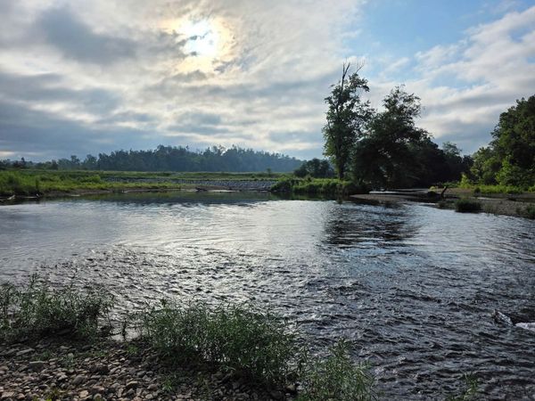 7209 Topsy Rd , Waynesboro, TN 38485