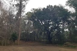 3120 Highmarket St. photo 4