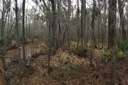 3120 Highmarket St. photo 4