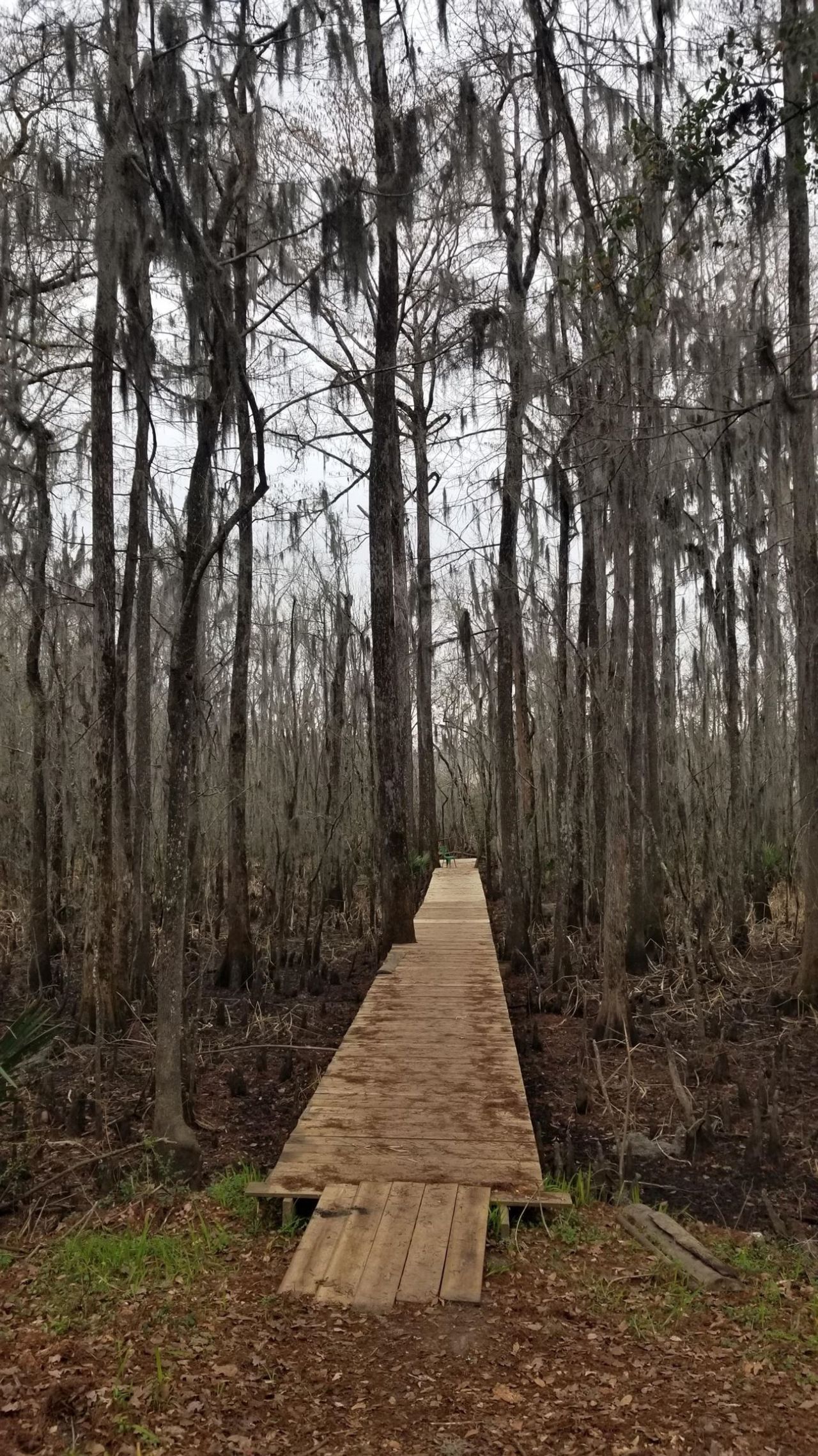 3120 Highmarket St. Photo 5