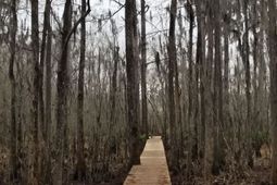 3120 Highmarket St. photo 4