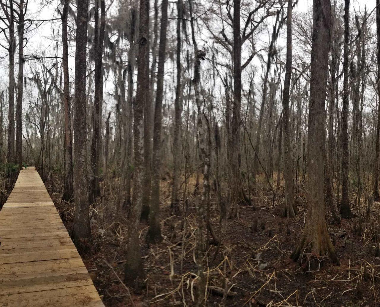 3120 Highmarket St. Photo 6