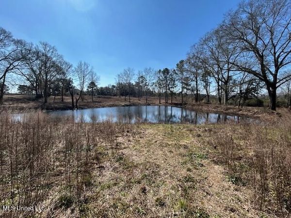 Sawmill Road, Sandy Hook, MS 39478