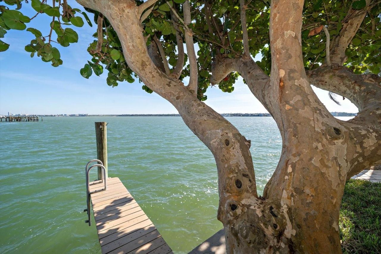 447 22nd Street, Belleair Beach, FL 33786 Photo