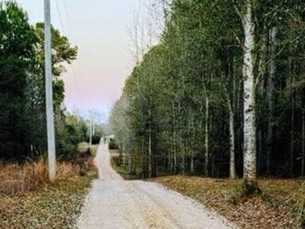 0 Darron Hodge Lane, Poplarville, MS 39470